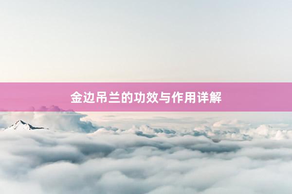 金边吊兰的功效与作用详解