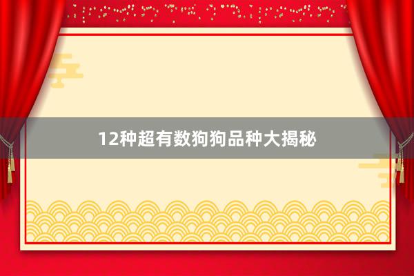 12种超有数狗狗品种大揭秘