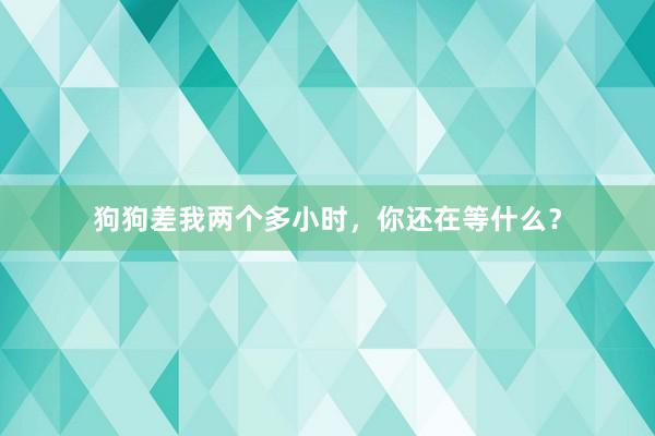 狗狗差我两个多小时，你还在等什么？